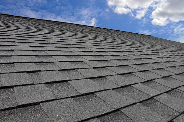 Best Skylight Installation and Repair  in Erath, LA